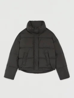 Paule Ka Doudoune Courte A Col Xxl<Femme Vestes